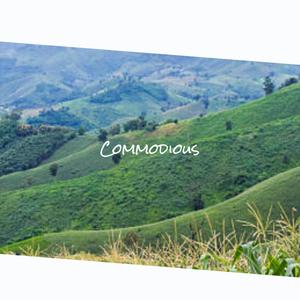 Commodious