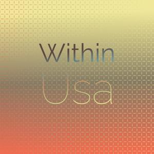 Within Usa