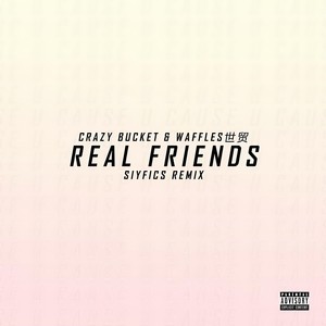 Crazy Bucket-Real Friends (叶韵逆溯 / SiYFics remix)