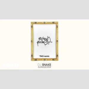 DJ Snake / AlunaGeorge - You Know You Like It (TAO remix)