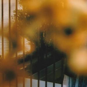 We were beautiful (Trio Ver Inst.)