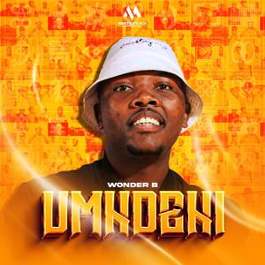 Isibhengu Bhengu (feat. Mvelodanature & Noslu)