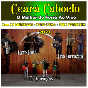 O Melhor do Forró Ao Vivo 2022 Com Os Muringas - Cyro Lima - Trio Forrozim