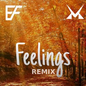 Feelings (Matzx Remix)