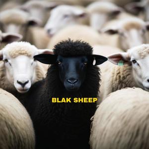 Blak Sheep (Explicit)