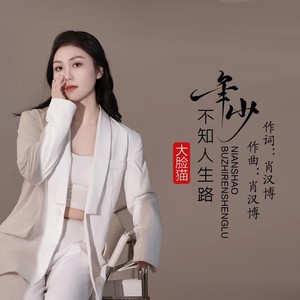 年少不知人生路 (DJ彭锐版伴奏)