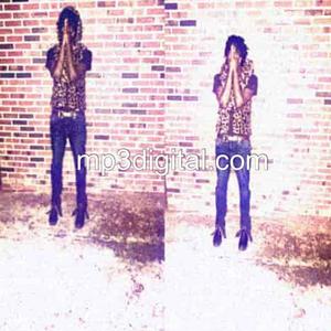 Wonderful Mind (feat. Surge) (Explicit)