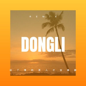 情定那拉提 (Remix)