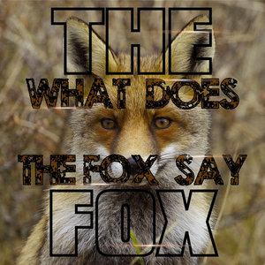 The Fox What Does The Fox Say 狐狸叫 狐狸在说什么 Qq音乐 千万正版音乐海量无损曲库新歌热歌 天天畅听的高品质音乐平台