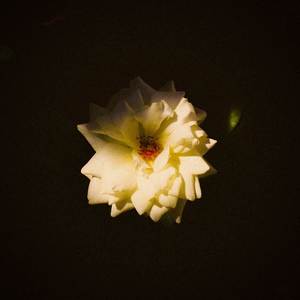 Song For You (Departures Redux)