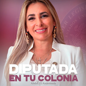 Diputada En Tu Colonia