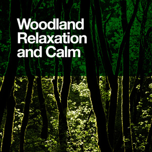 Woodland Relaxation and Calm