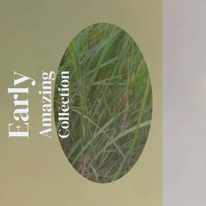 Latibulize Phantasmagoria