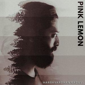 Pink Lemon (feat. Parth Patadiya & Gustavo Carvalho)