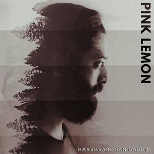 Pink Lemon(feat. Parth Patadiya & Gustavo Carvalho)