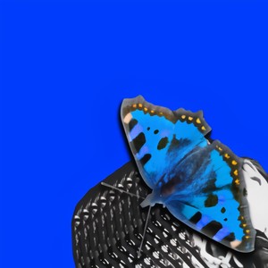 SOMEONE,(feat. Lenny G) (Demo|Explicit)