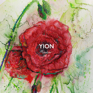 Whales in the Jungle