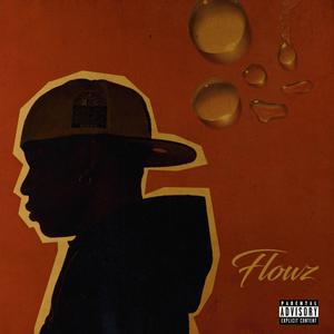 FLOWZ (Explicit)