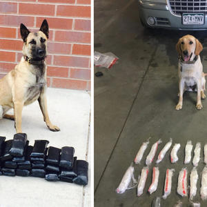 stalking (feat. alt0) (Explicit)