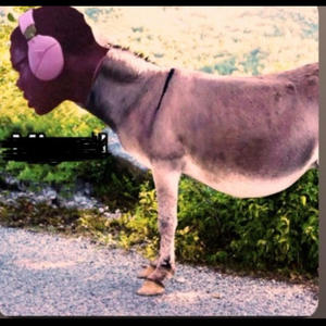 Miguel (O&E) (feat. Yung, JayShiesty, Saivion & VJ) (Sped Up) (Explicit)