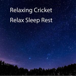 Relaxing Cricket (Live)