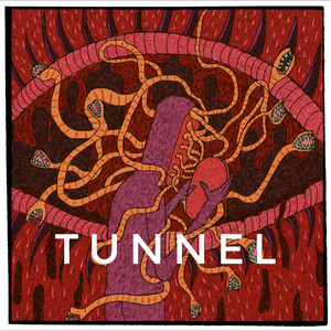 Tunnel