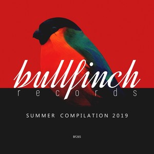 Bullfinch Summer 2019 Compilation