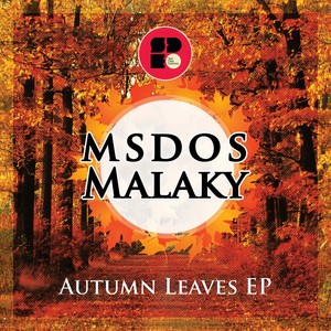 Autumn Leaves (Original Mix)