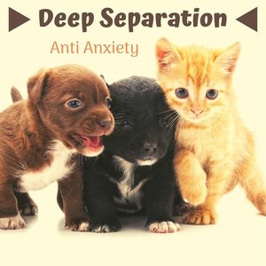 Deep Separation Anti Anxiety: Relaxing Music for Four Paw Friends with Nature Sounds