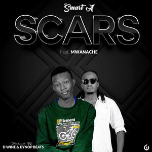 Scars (feat. Mwanache)