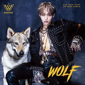 WOLF (Explicit)