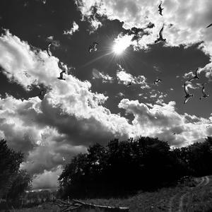 Never Stop (feat. MBNO Papa) (Explicit)