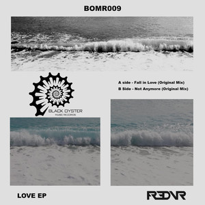Not Anymore (Original Mix)
