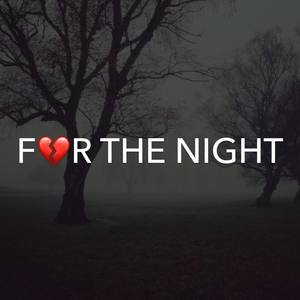 For The Night