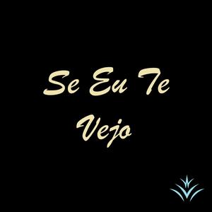 Se Eu Te Vejo