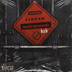 MARK MY WORDS (Explicit)