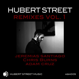 The Remixes Vol. 1