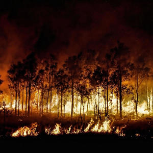 Gaia (feat. dreimaldrei)