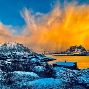 A Symphony of Vibrant Motion