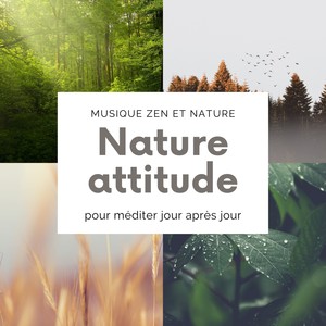 Nature attitude - Musique zen et nature pour méditer jour après jour