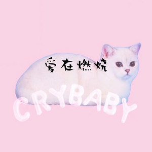 伤 心 塑 料 爱 (Remix)