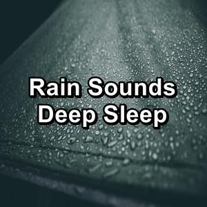 Rain Seeping thriugh the Roof