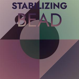 Stabilizing Bead