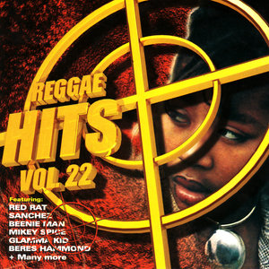 Reggae Hits Volume 22