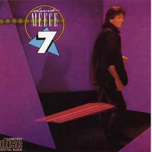 The Ladder (Album Version)