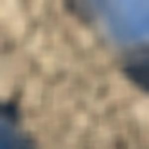 Test Your Luck (Explicit)