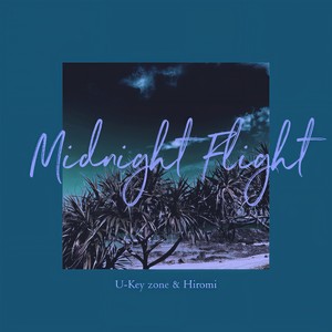 Midnight Flight