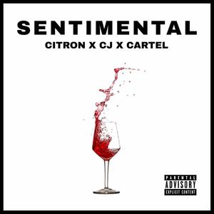 Sentimental (feat. OG Citron & Ylr Cartel) (Explicit)