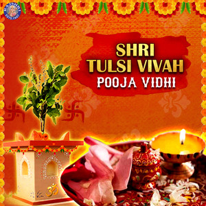 Tulasi Vivah Pooja Vidhi