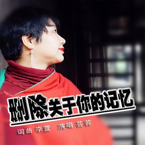 删除关于你的记忆